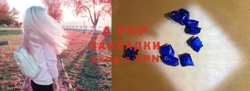 A-PVP СК  Калач-на-Дону 